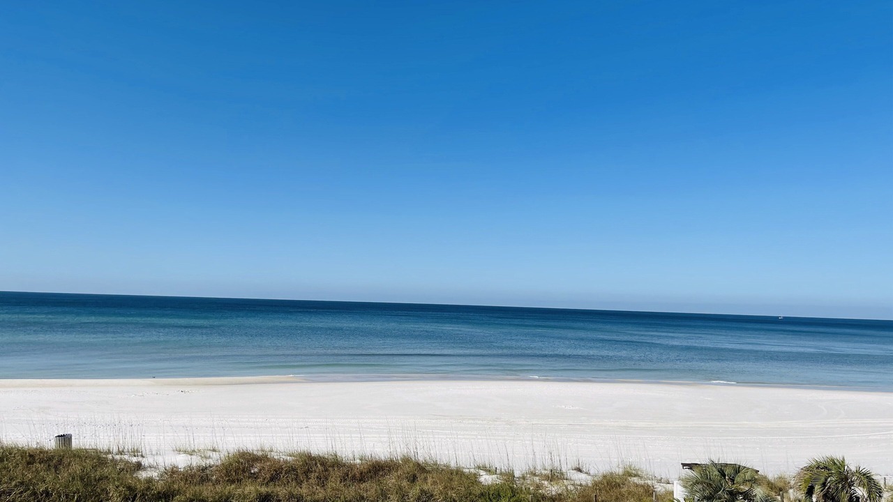 Photo of Others in Biltmore Beach