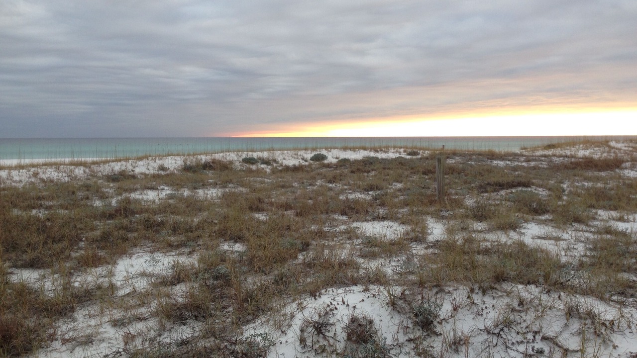 Photo of Others in Grayton Beach