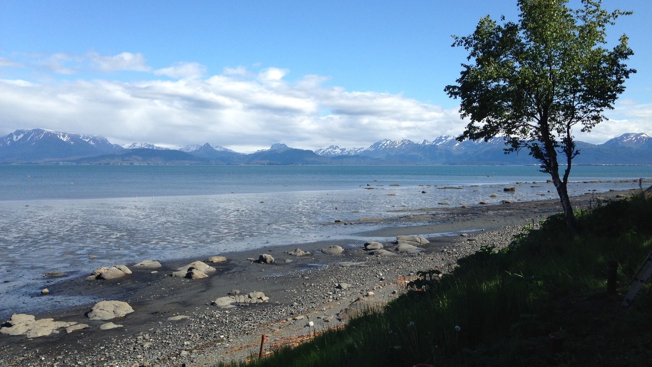 Photo of Others in Homer