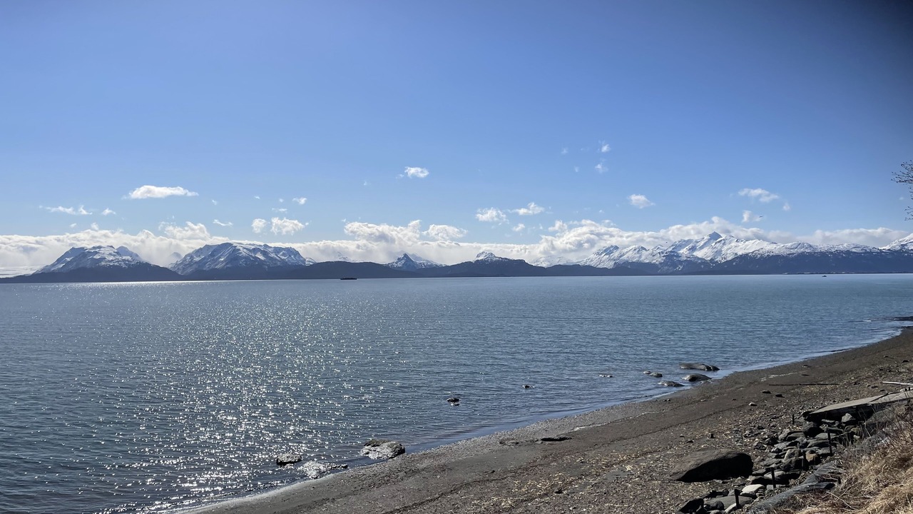 Photo of Others in Homer