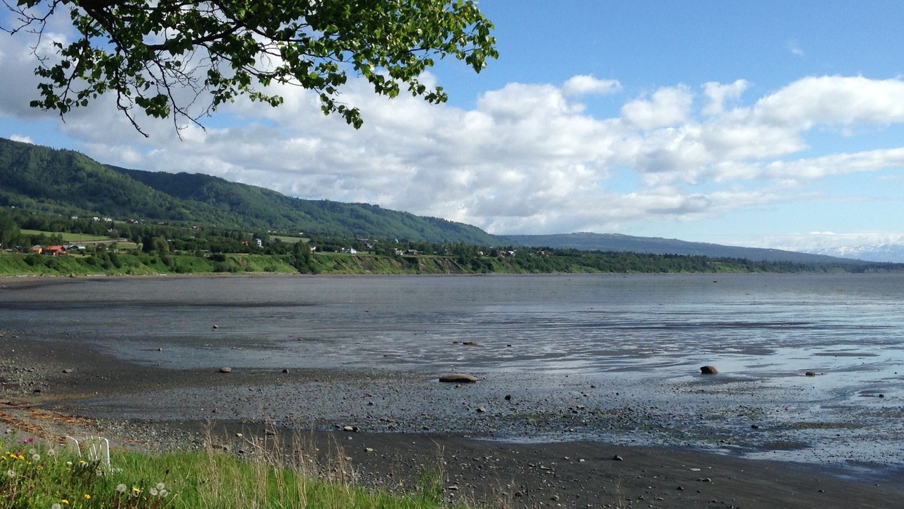 Photo of Others in Homer