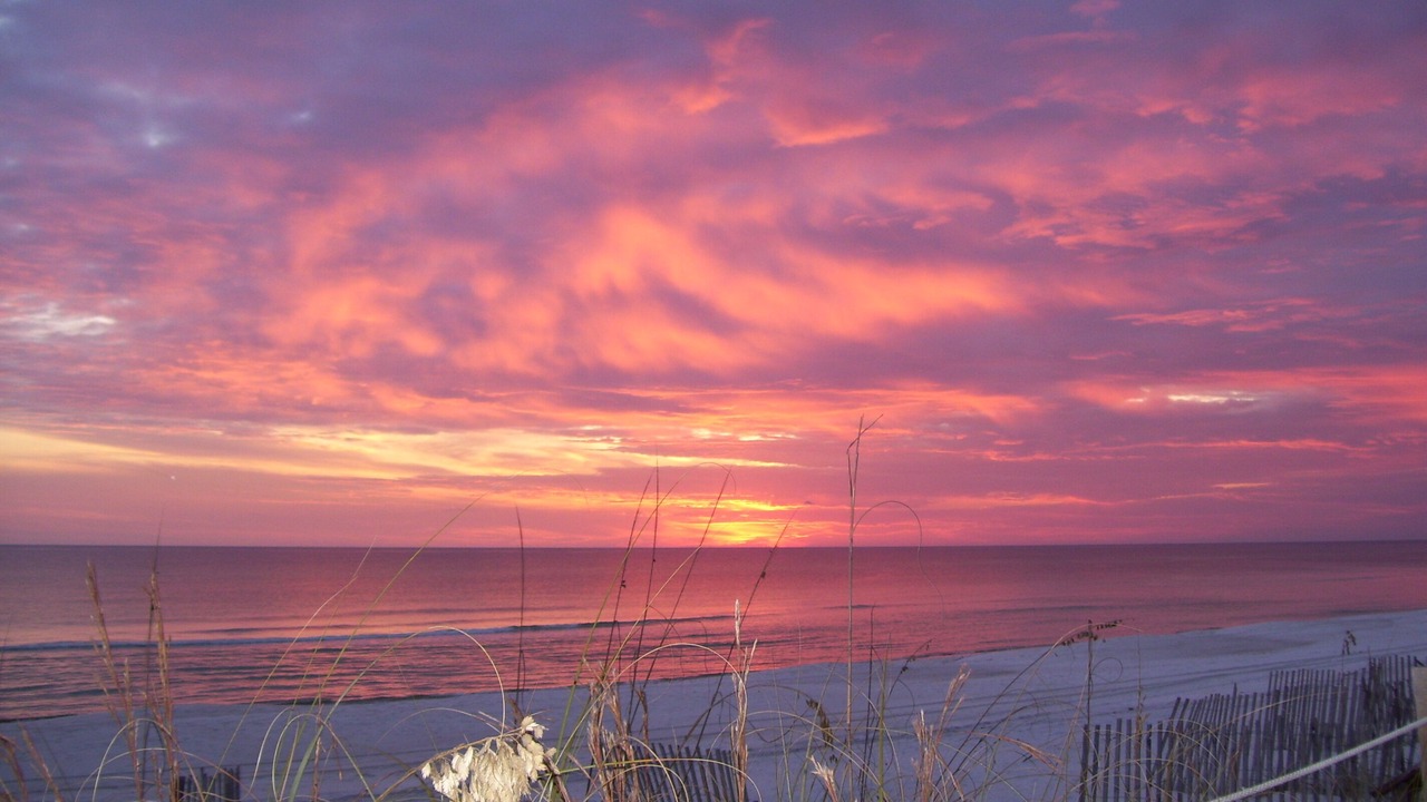 Photo of Others in Inlet Beach