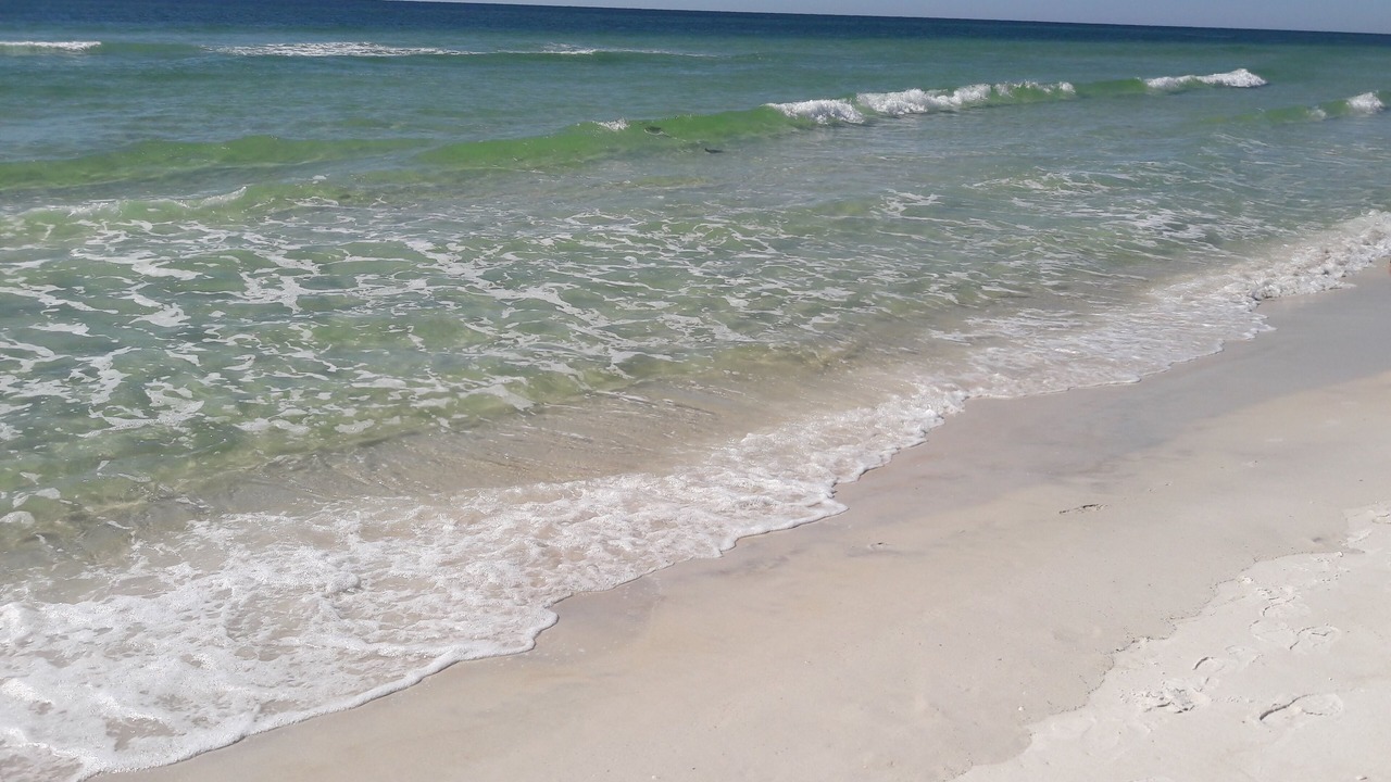 Photo of Others in Inlet Beach