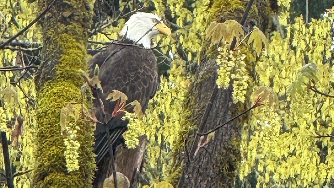 Photo of Others in Mill City