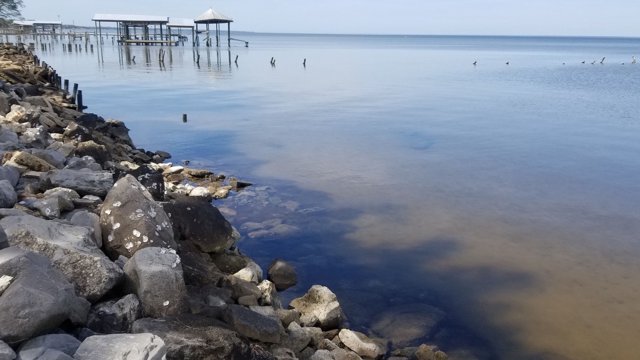 Photo of Others in Gulf Breeze