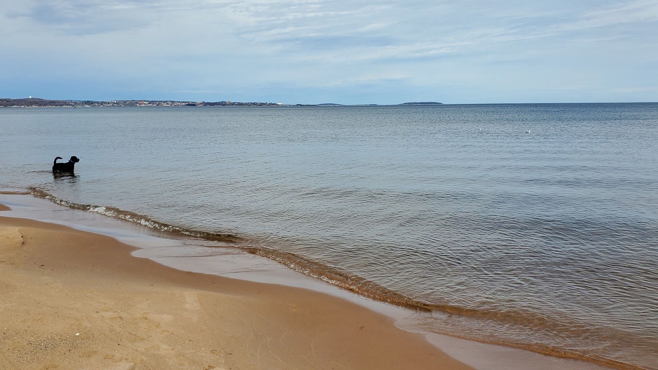 Photo of Others in Upper Peninsula Michigan