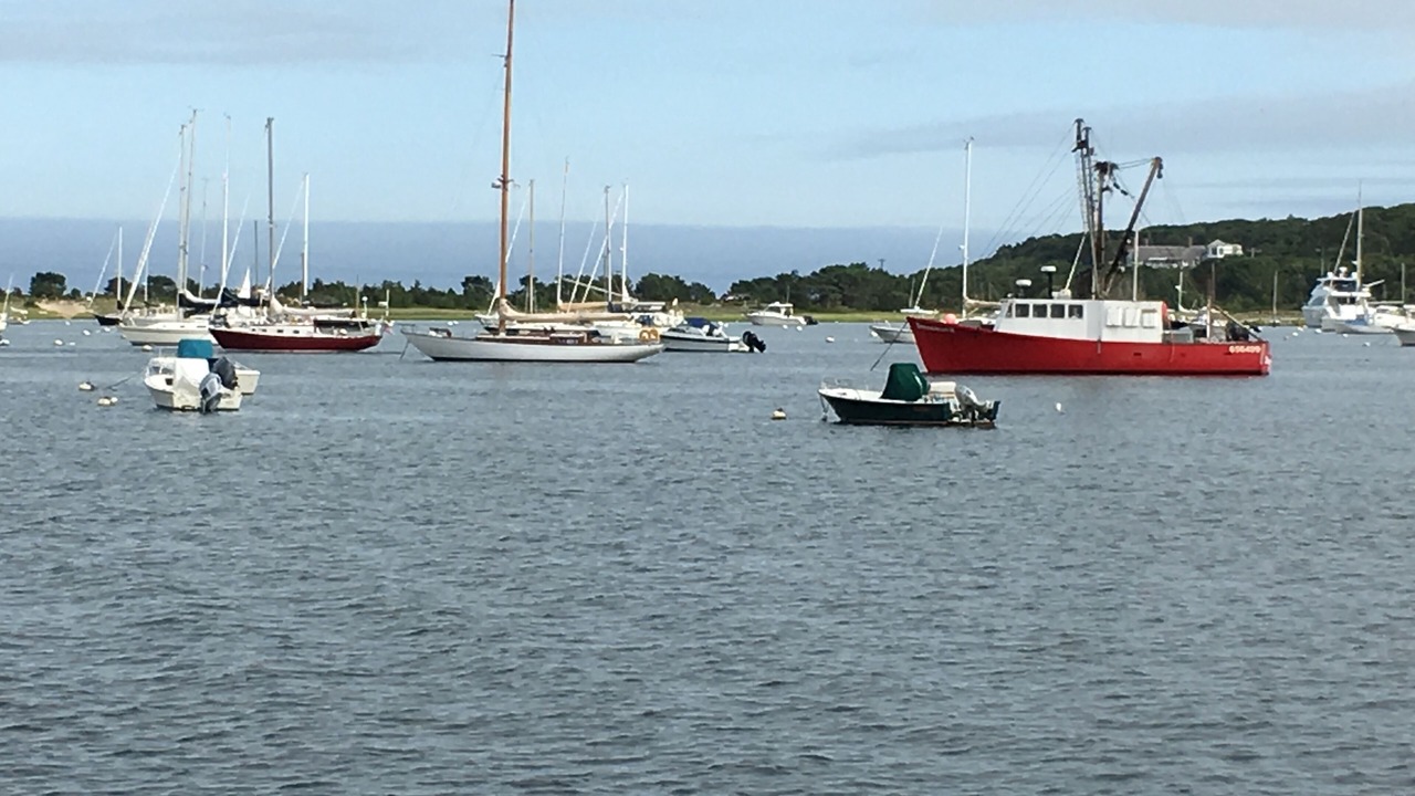 Photo of Others in Chatham