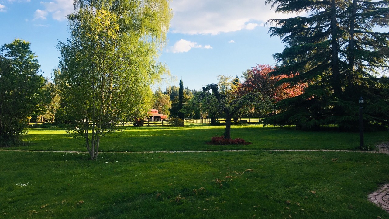 Photo of Outdoor in Salem