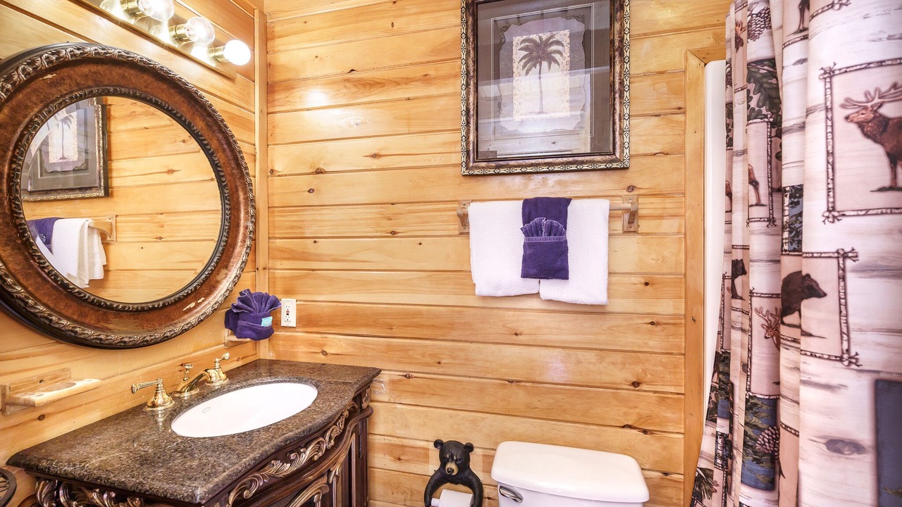 Photo of Bathroom in Sevierville