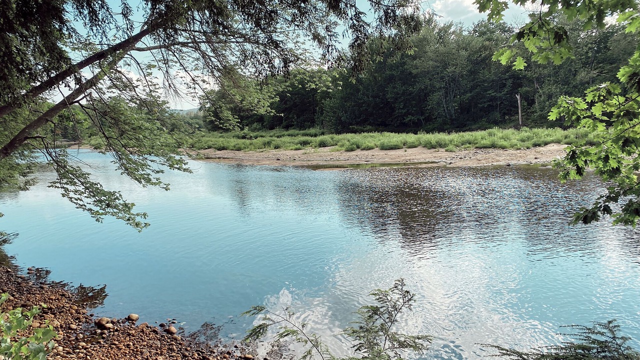 Photo of Others in Thornton