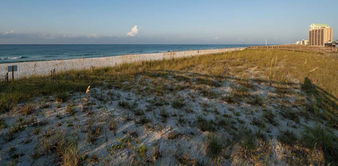 Photo of Others in Navarre Beach