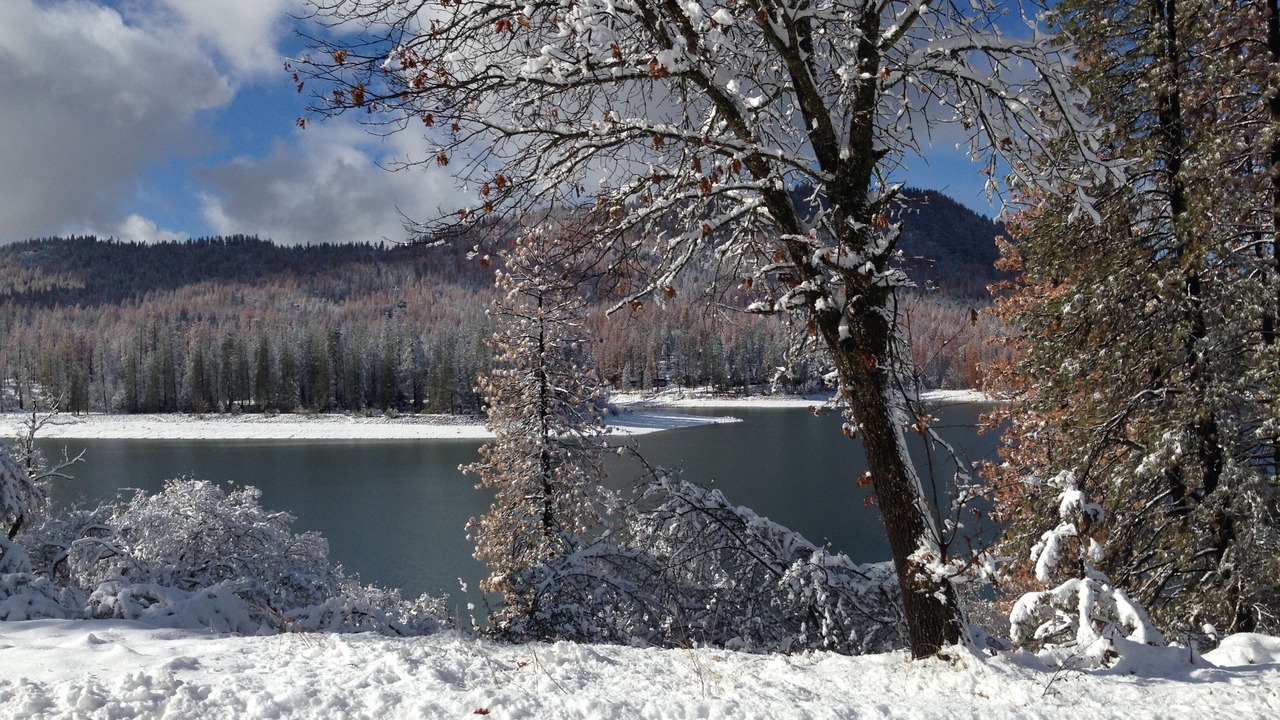 Photo of Outdoor in Bass Lake