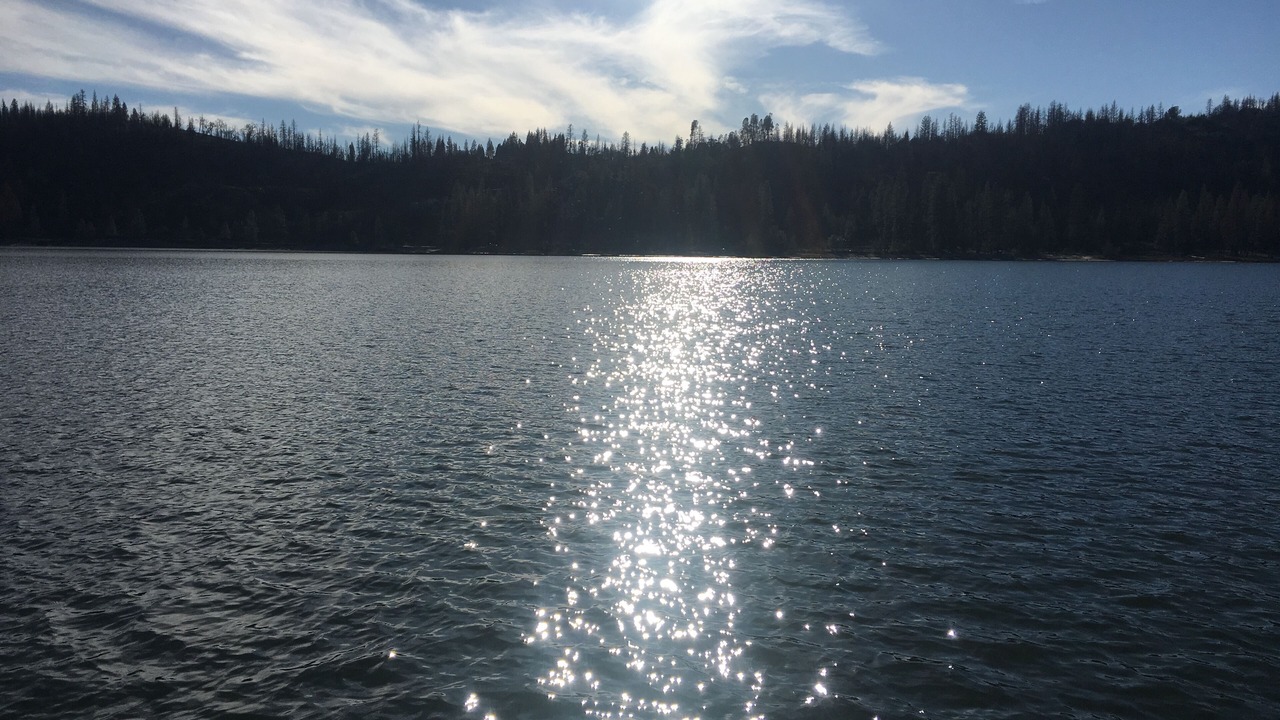 Photo of Outdoor in Bass Lake