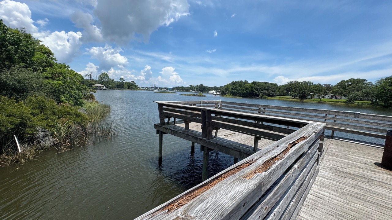 Photo of Others in Florida Panhandle