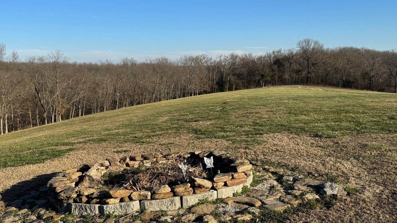 Photo of Others in Pineville