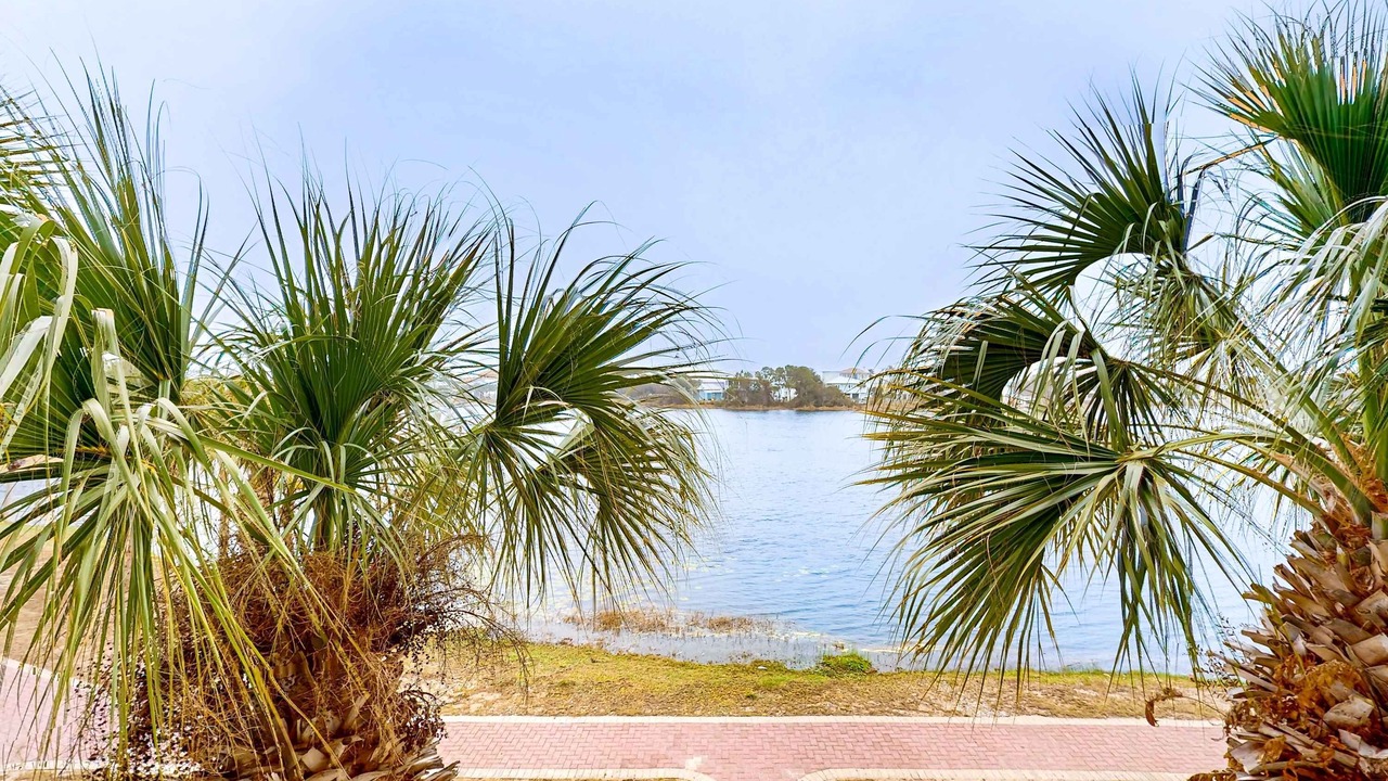 Photo of Outdoor in Sunnyside