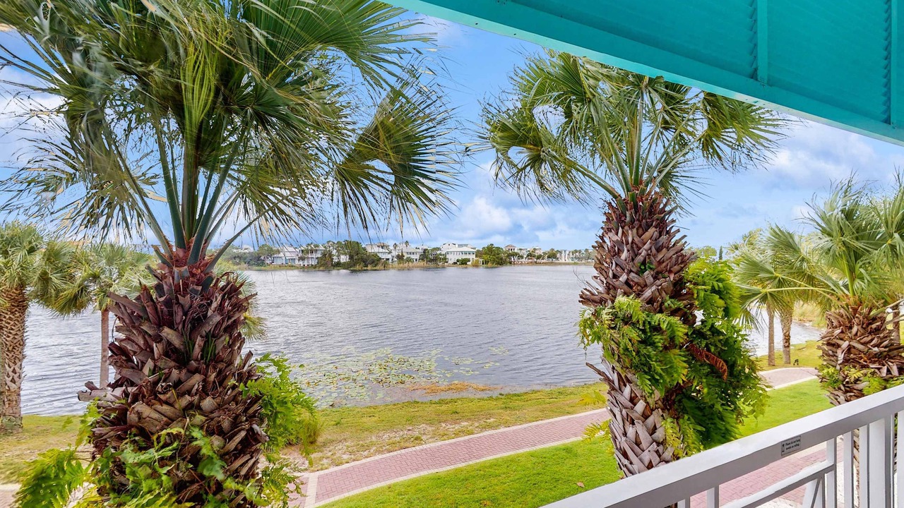 Photo of Outdoor in Sunnyside