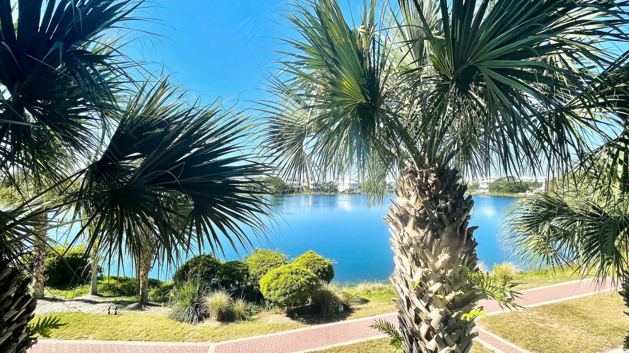 Photo of Outdoor in Sunnyside