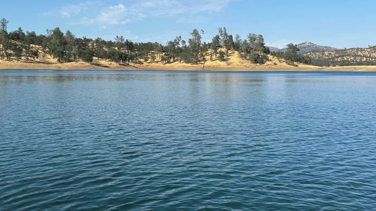 Photo of Others in Hayward