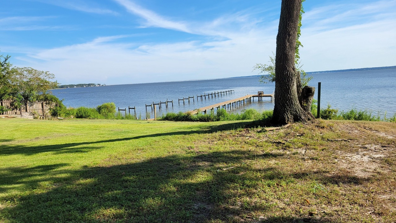 Photo of Others in Florida Panhandle