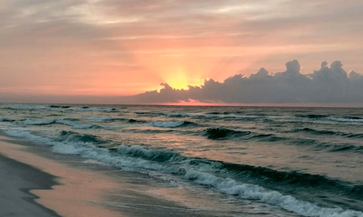 Photo of Others in South Pensacola