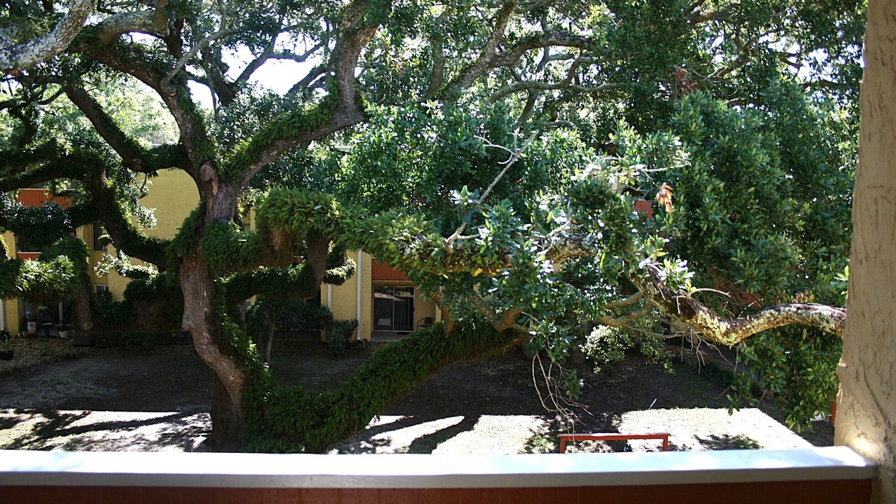 Photo of Patio Balcony in Mary Esther