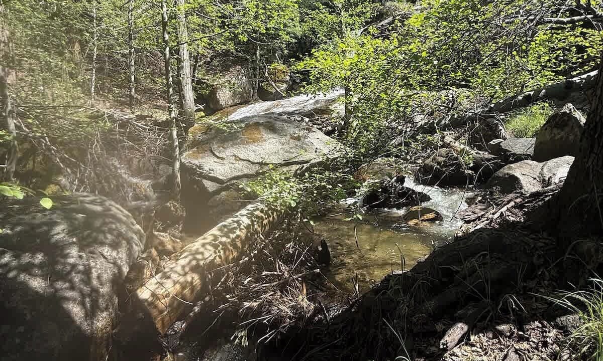 Photo of Others in Big Creek