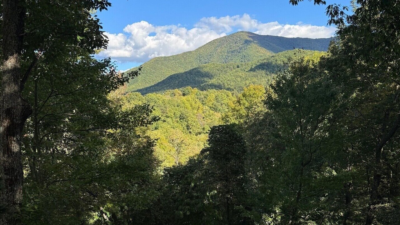Photo of Others in Wears Valley