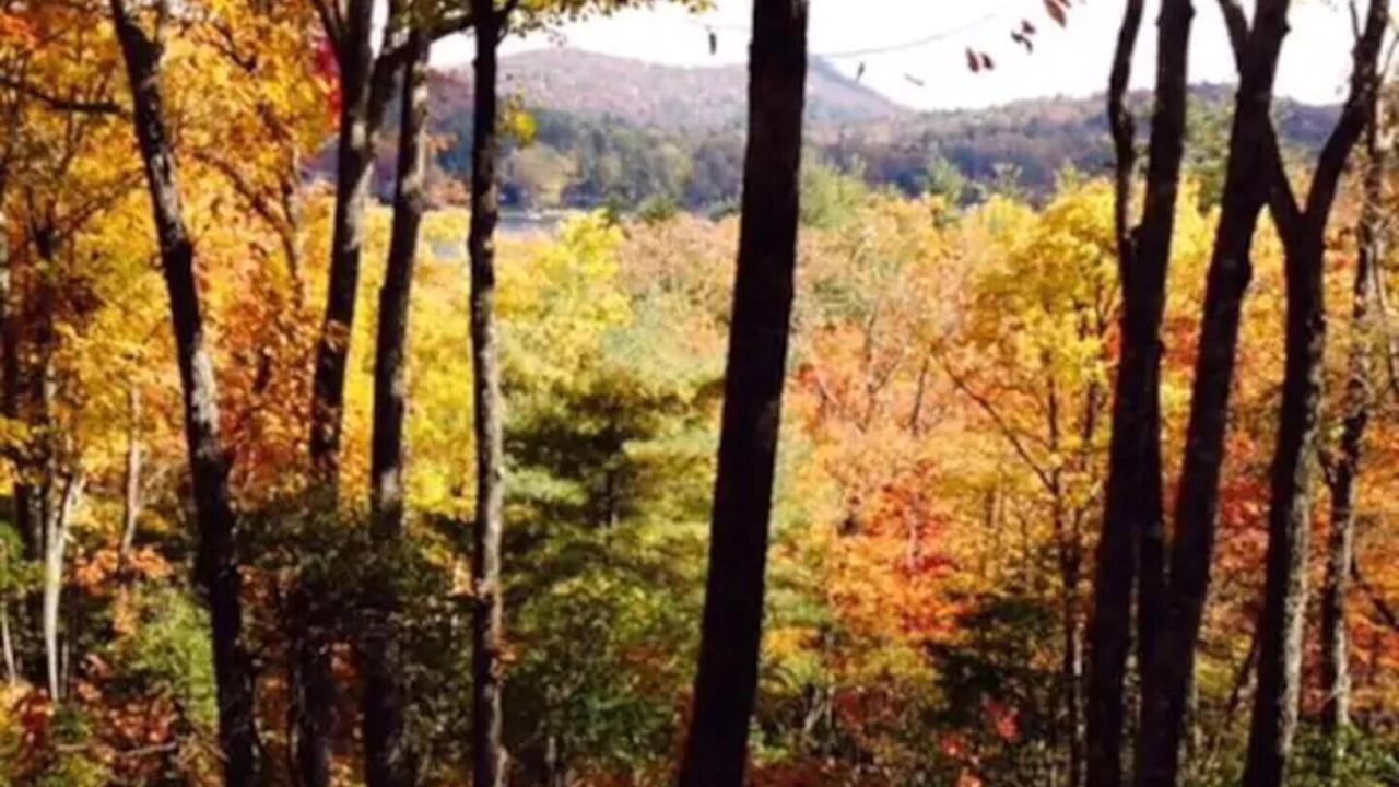 Photo of Outdoor in Lake Toxaway