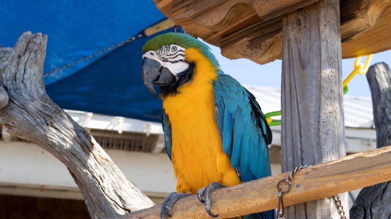 Photo of Outdoor in Baytowne Wharf