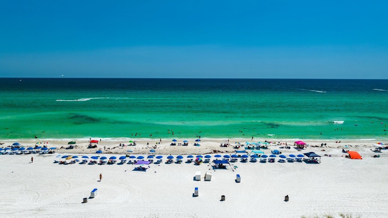 Photo of Others in Panama City Beach