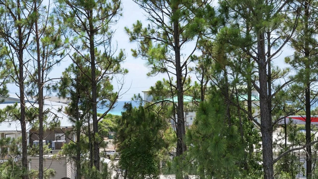 Photo of Others in Village of Sugar Beach