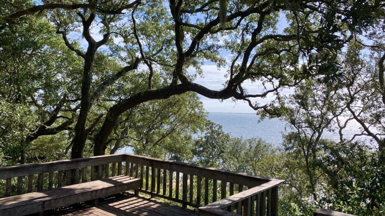 Photo of Outdoor in Gulf Breeze
