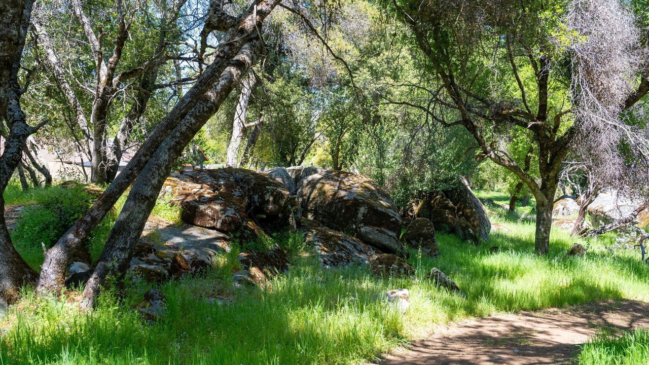 Photo of Others in Mariposa