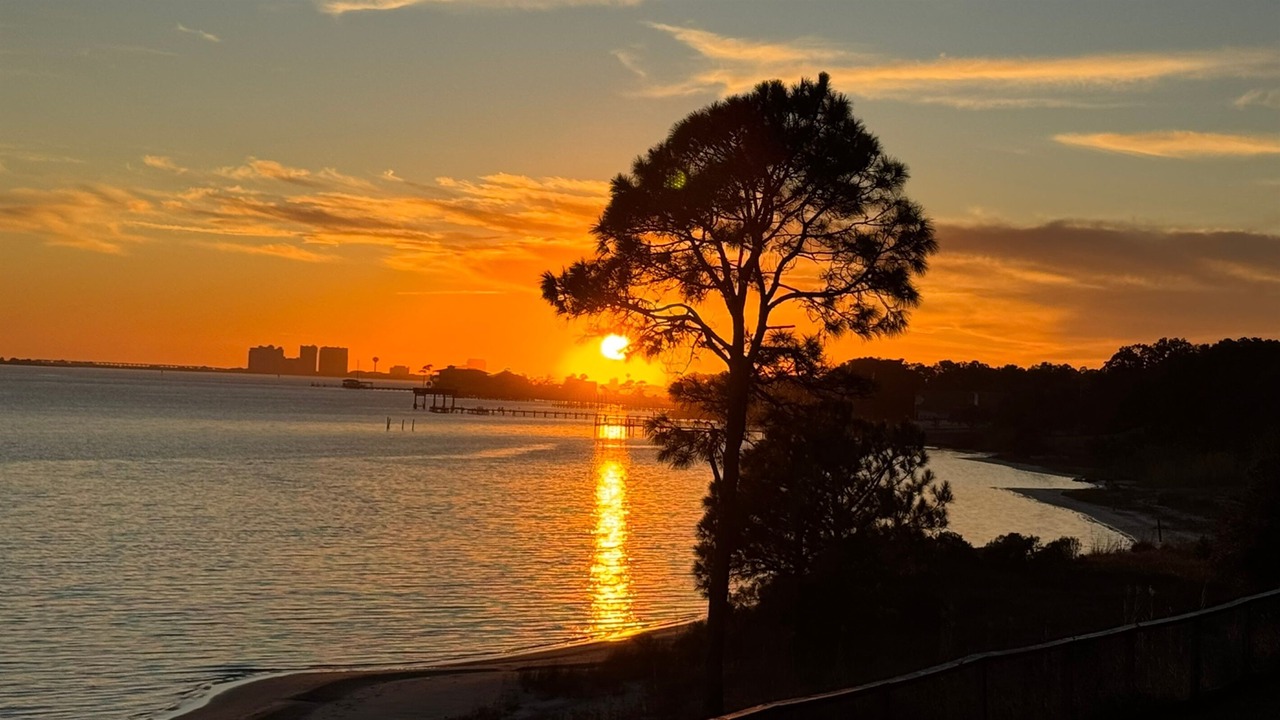 Photo of Others in Navarre