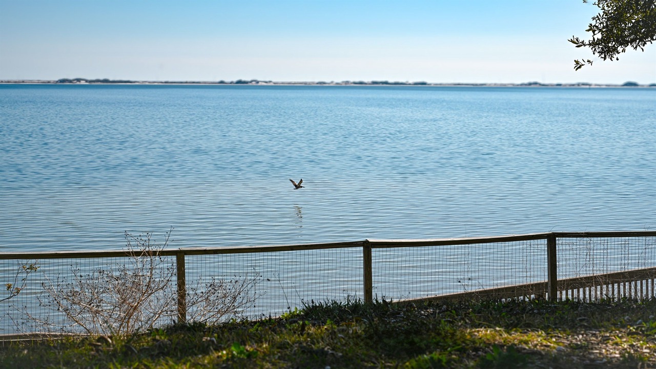 Photo of Others in Navarre