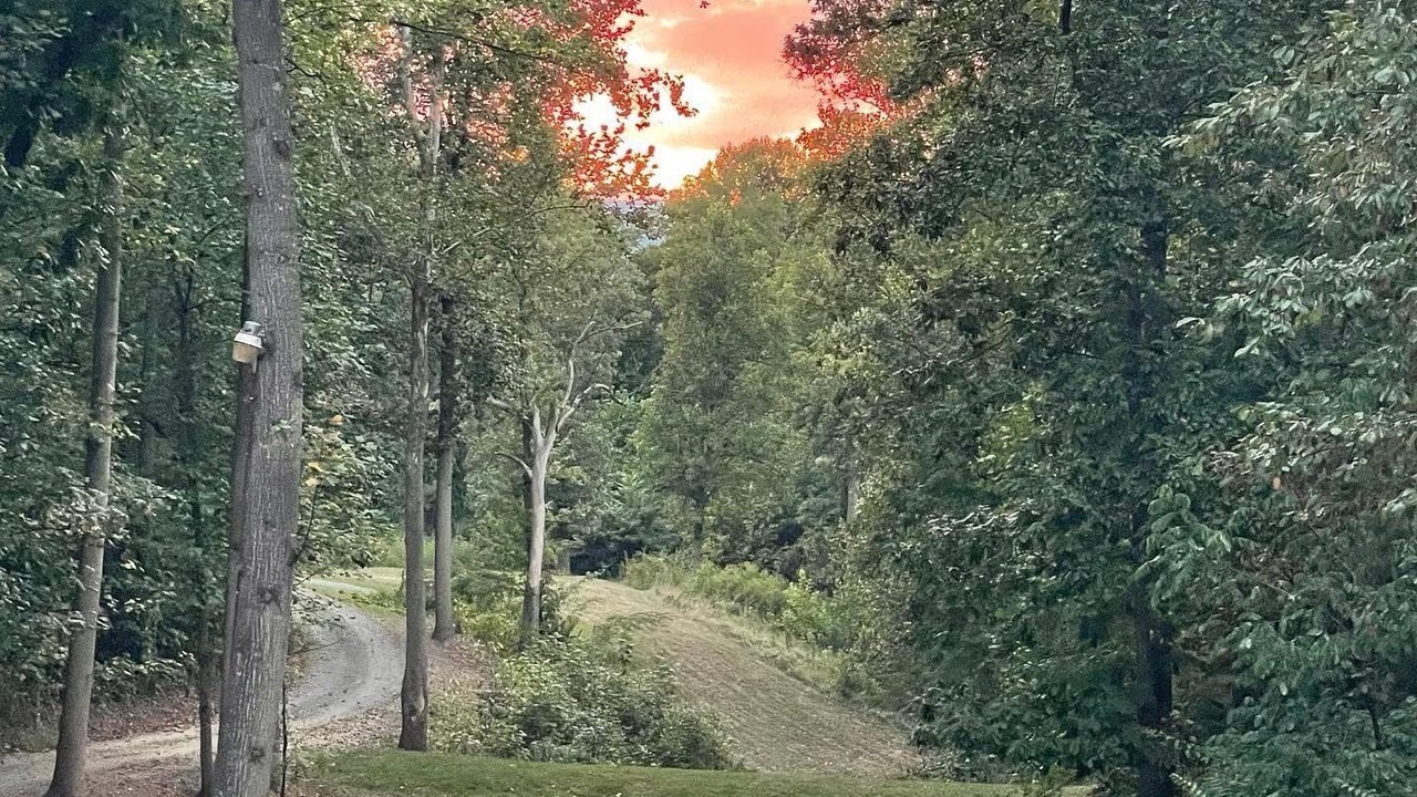 Photo of Others in Shenandoah