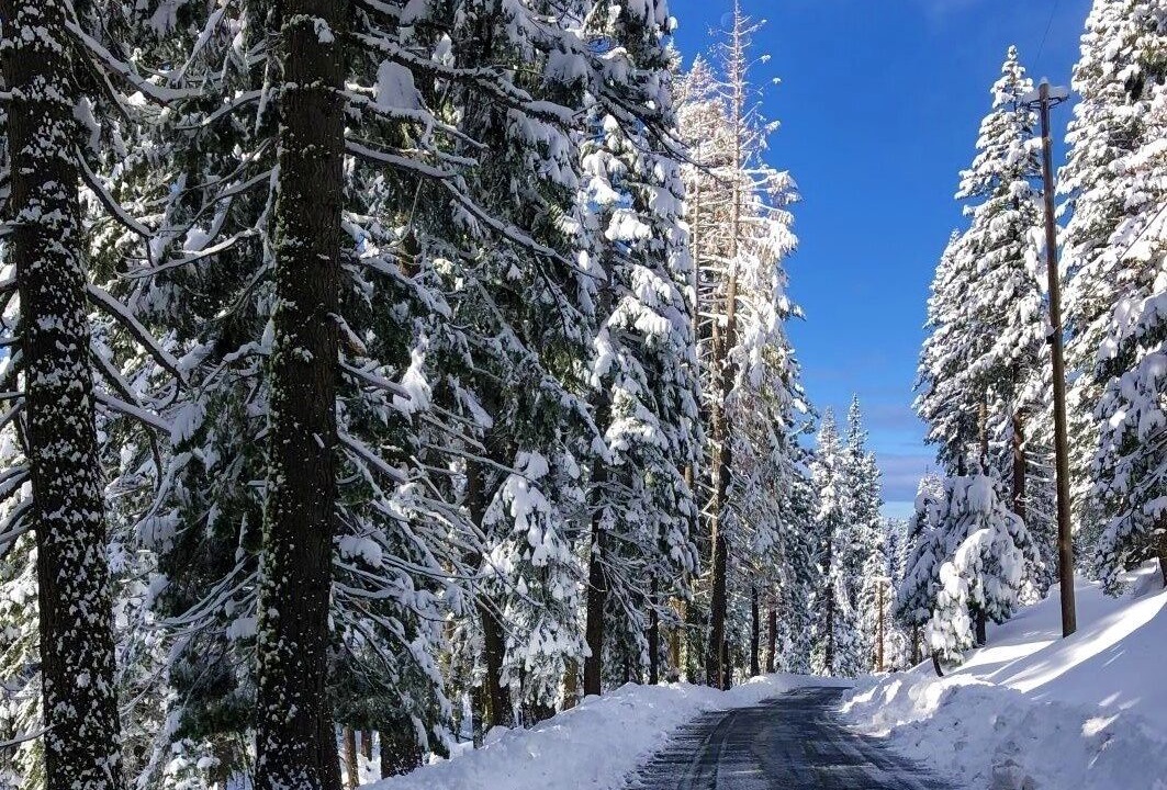 Photo of Others in Bear Valley
