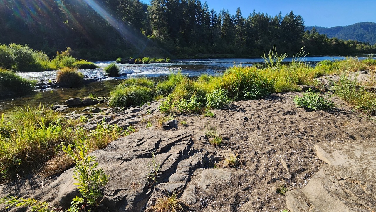 Photo of Others in Umpqua