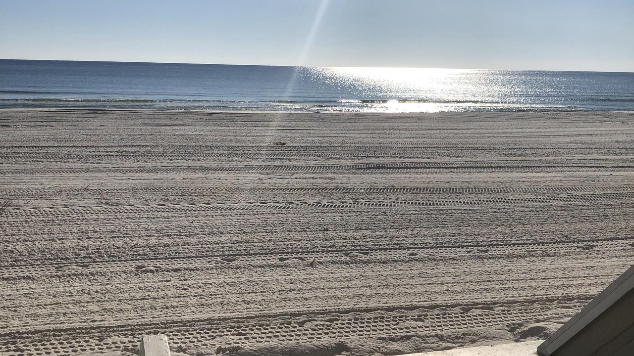 Photo of Others in Sunnyside