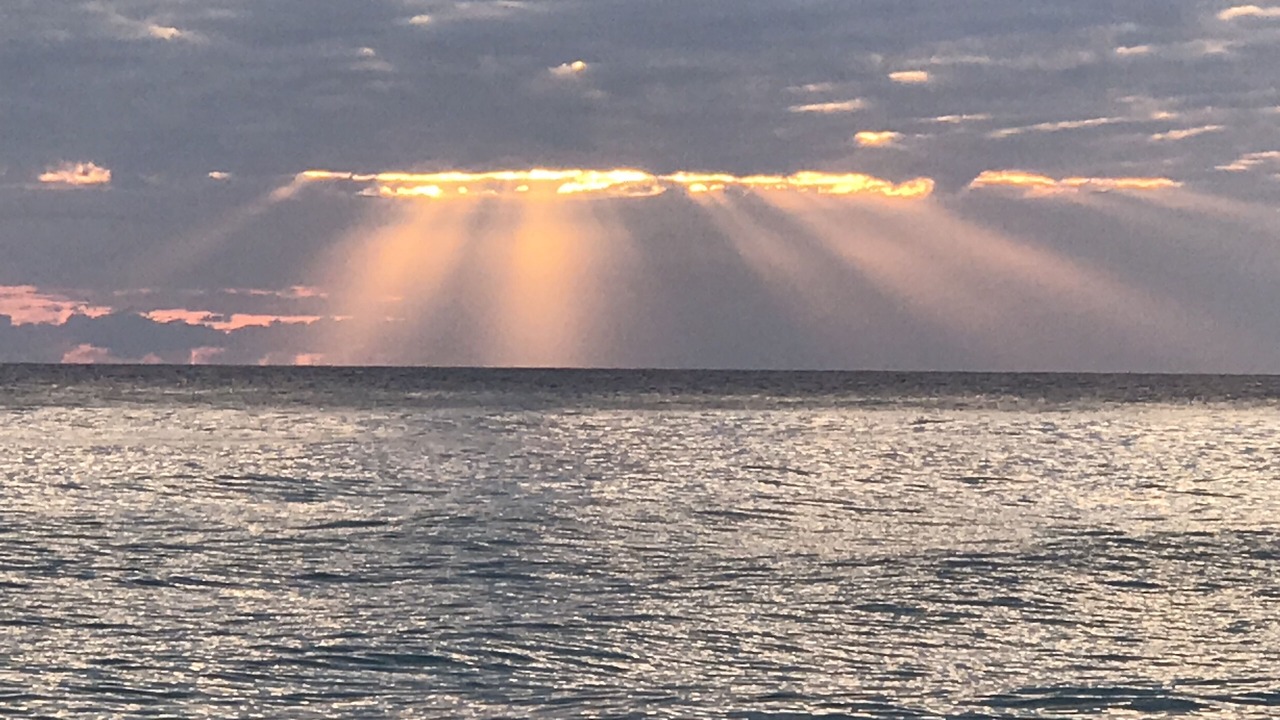 Photo of Others in Panama City Beach