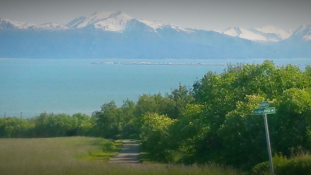 Photo of Others in Kachemak