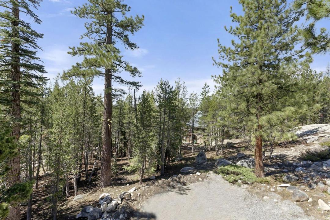 Photo of Others in Bear Valley