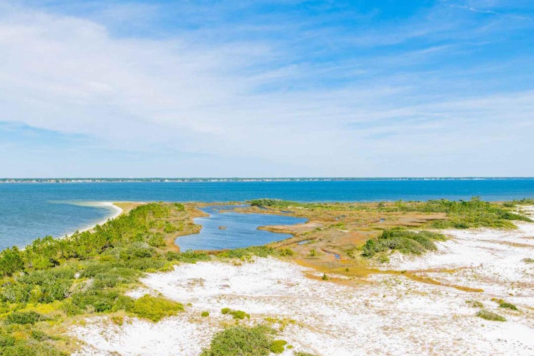 Photo of Others in Pensacola Beach