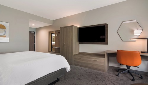 Standard Room, 1 King Bed, Accessible, Non Smoking (Transfer Shower)