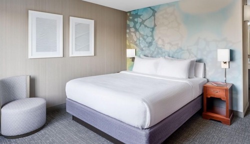 Room, 1 King Bed, Hearing Accessible (Roll-in Shower)