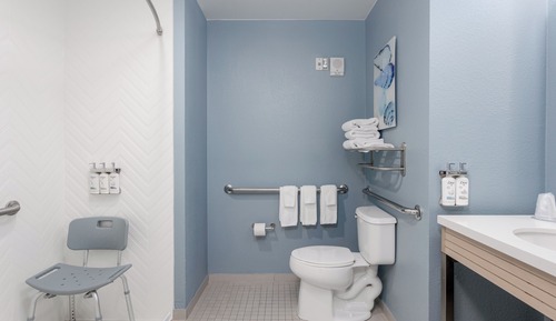 Standard Room, 1 King Bed, Accessible (Mobility Accessible)