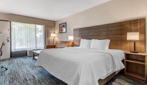 Room, 1 King Bed, Smoking